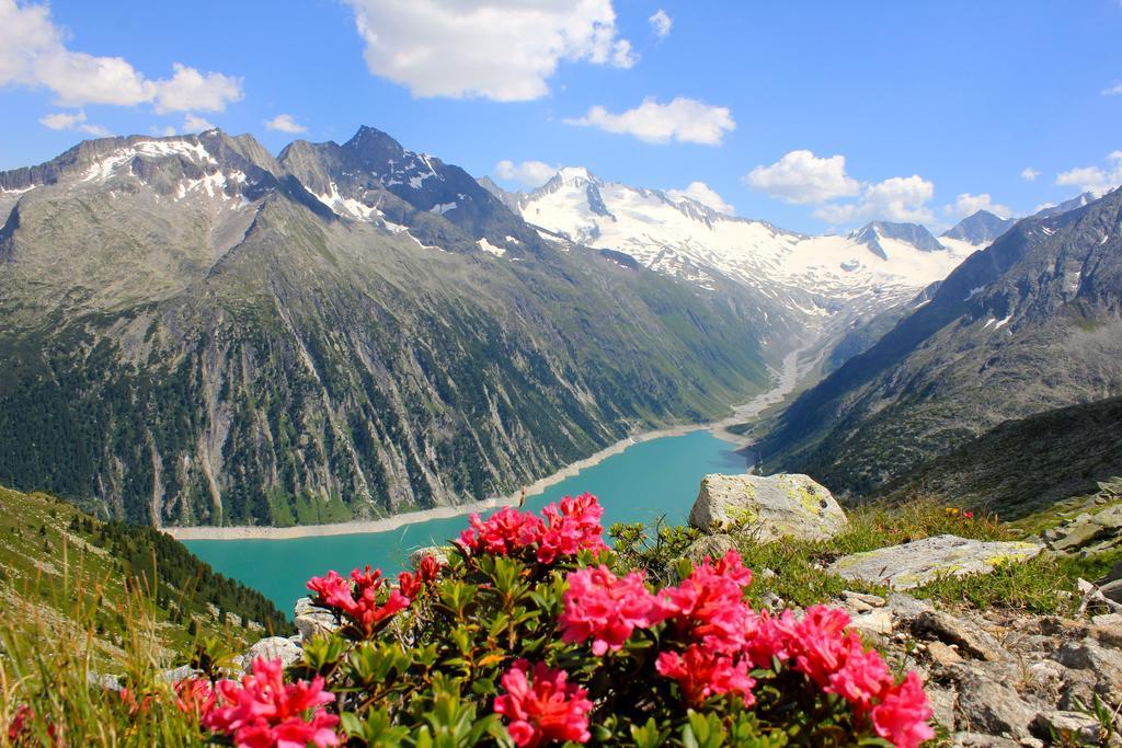Alpen Appartements Hochmuth Майргофен Номер фото
